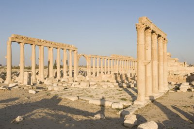 Palmyra apr 2009 0099.jpg