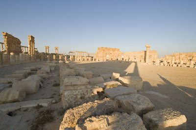 Palmyra apr 2009 0113.jpg
