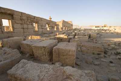Palmyra apr 2009 0116.jpg