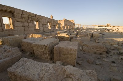 Palmyra apr 2009 0117.jpg