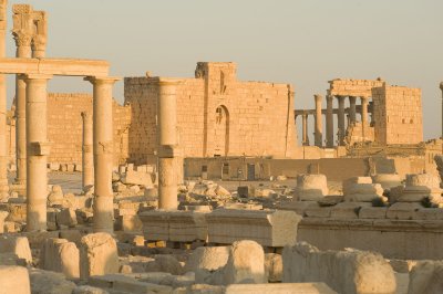 Palmyra apr 2009 0125.jpg