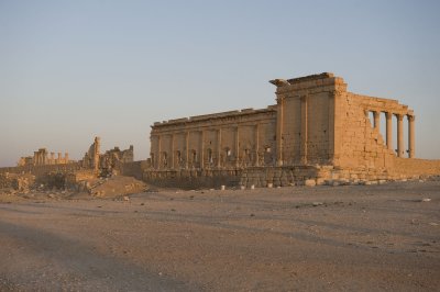 Palmyra apr 2009 0139.jpg