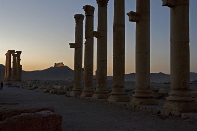 Palmyra apr 2009 0153.jpg