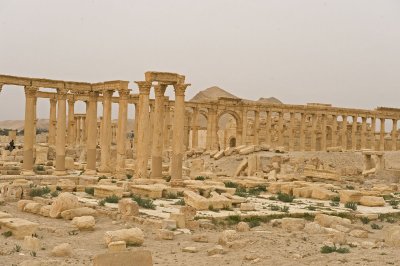 Palmyra apr 2009 0175.jpg