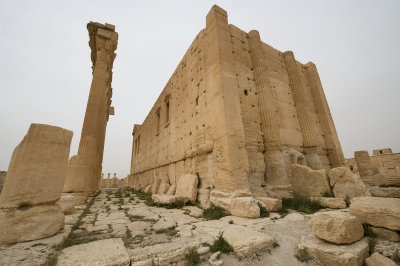 Palmyra apr 2009 0239.jpg