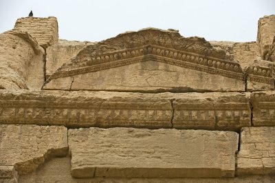 Palmyra apr 2009 0252.jpg