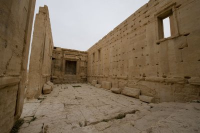 Palmyra apr 2009 0273.jpg