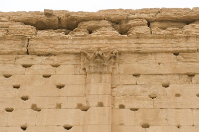 Palmyra apr 2009 0289.jpg