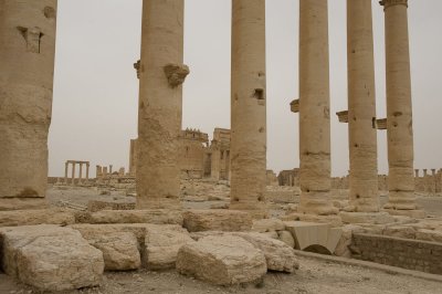 Palmyra apr 2009 0296.jpg