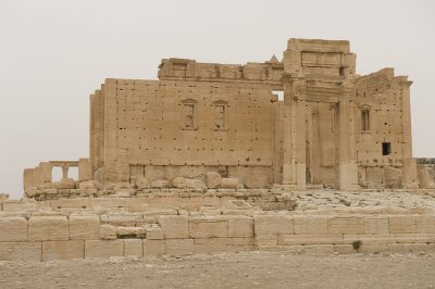 Palmyra apr 2009 0298.jpg