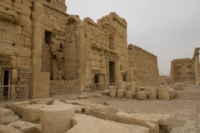 Palmyra apr 2009 0302.jpg
