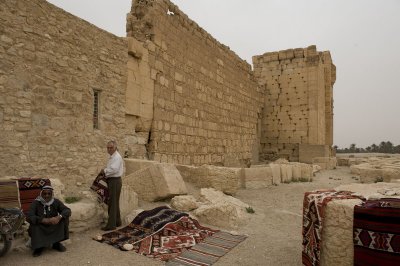 Palmyra apr 2009 0306.jpg