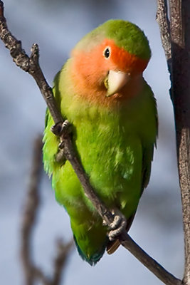 g3/67/926167/3/121130639.rbOVl0Kl.jpg