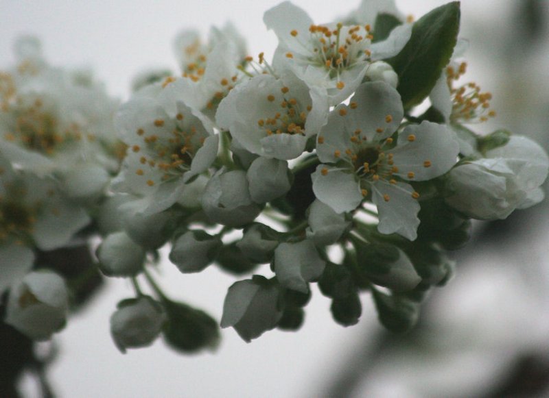 Apr 8, 2010