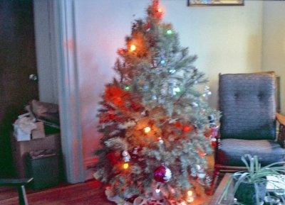 03 Xmas season