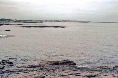 g3/67/941167/3/120758261.8aLIftJv.jpg