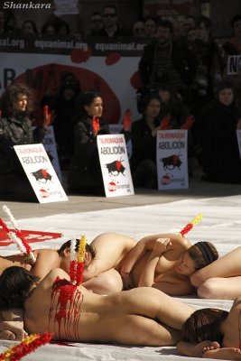 Bullfight abolition 4.jpg