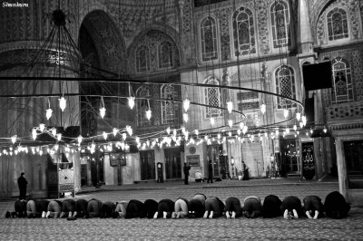 Istanbul praying.jpg