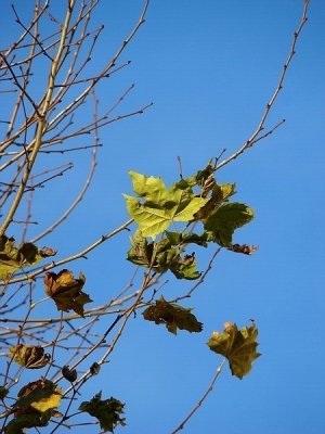 Campos_Jun_09_036.jpg