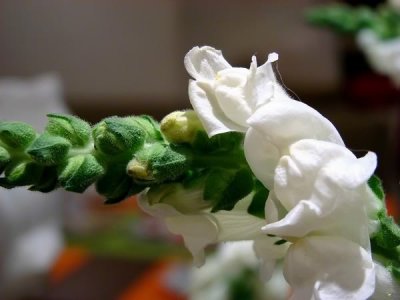 g3/67/951567/3/123618601.F41BBX3h.jpg