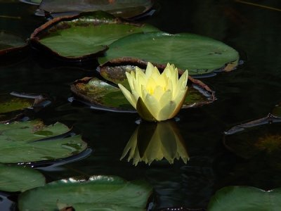 J_Botanico_Mar_09_049.jpg