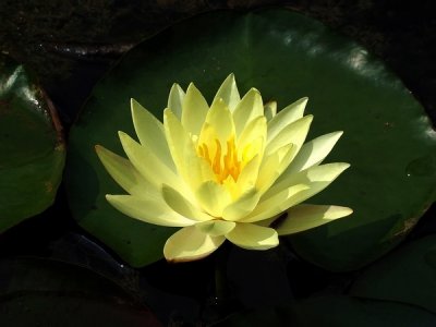 J_Botanico_Mar_09_053.jpg
