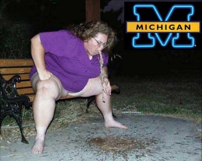 Michigan_cal.jpg