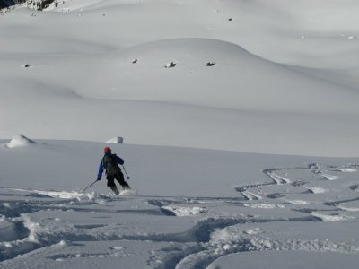 IMG_2308.jpg
