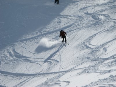 IMG_2353.jpg