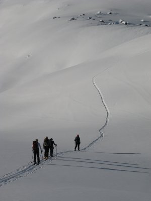 IMG_2364.jpg