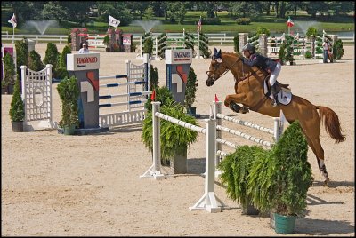 HORSEPARK7892.jpg