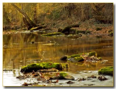creek3416.jpg