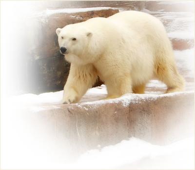 2polar1025.jpg