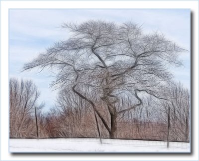 tree3993.jpg