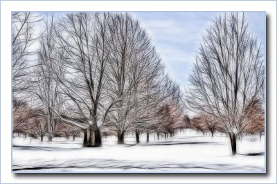 trees3926.jpg