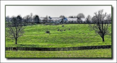 flfarm4855.jpg