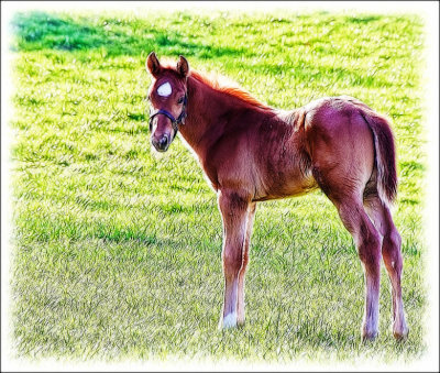 baby5090.jpg