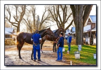 flhorse4496.jpg