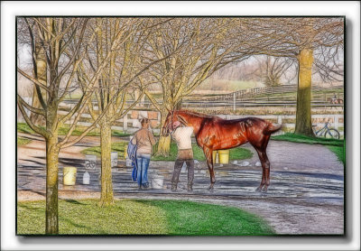 flhorse4475.jpg