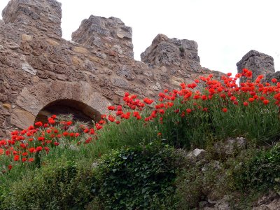 Puerta de Medina