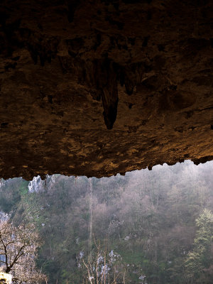 Techo de la cueva