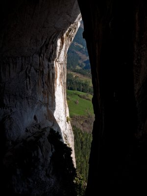 Desde la entrada