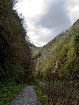 Nos despedimos de la garganta