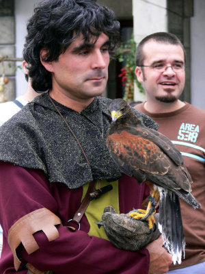 Halconero