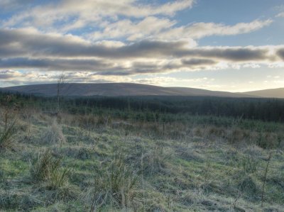 HDR3.jpg