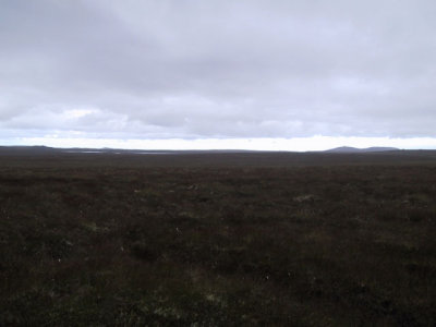 Bog trotting and navigation disaster in the mist.jpg