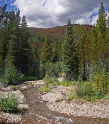 panorama54-river web.jpg