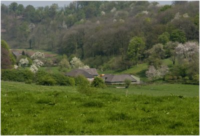 Gerendal