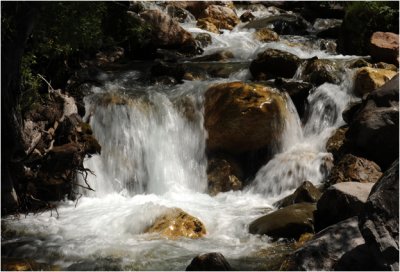 L' Alpe du Lauzet - Torrent du Rif