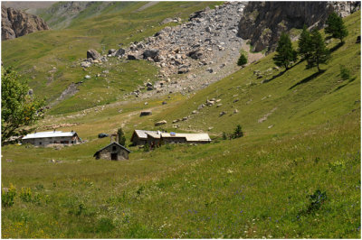 l'Alp du Lauzet - Alt. 1910 m